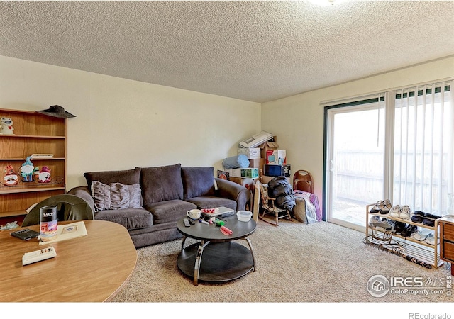 living room with carpet floors and a textured ceiling