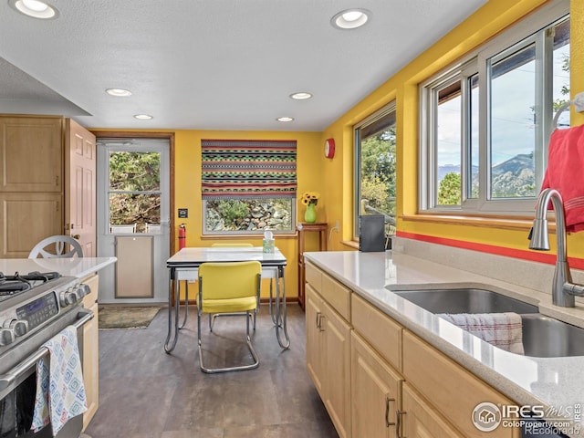 kitchen with a wealth of natural light, a textured ceiling, light brown cabinetry, and sink