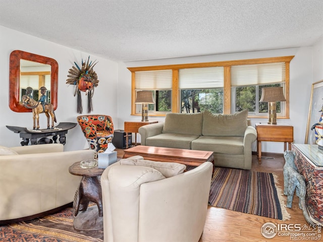 living room featuring a textured ceiling and hardwood / wood-style floors