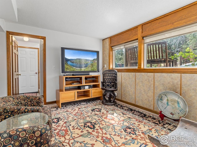 living room with a textured ceiling