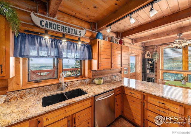 kitchen with rail lighting, stainless steel dishwasher, sink, and a wealth of natural light