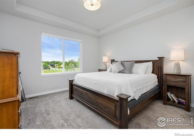 carpeted bedroom featuring a raised ceiling