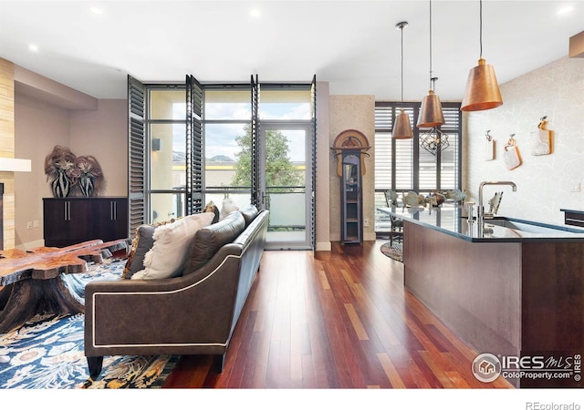 living room with sink, a wall of windows, and dark wood-type flooring