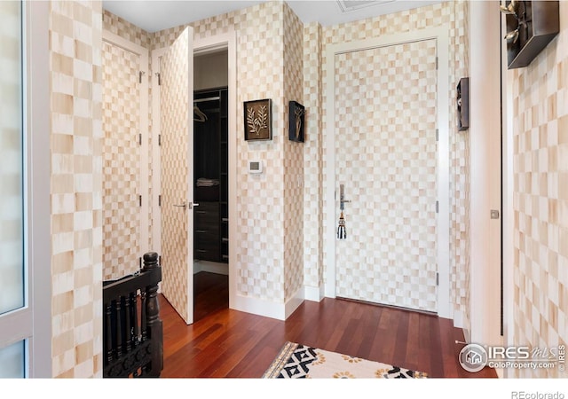 interior space with tile walls, a closet, and dark hardwood / wood-style floors