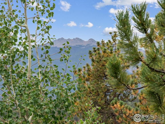 property view of mountains