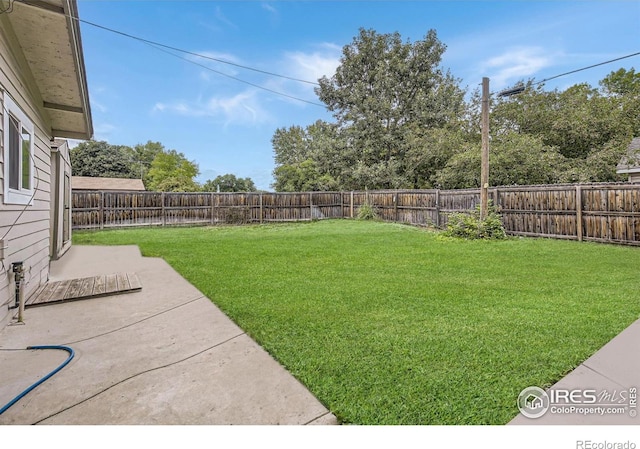 view of yard with a patio area