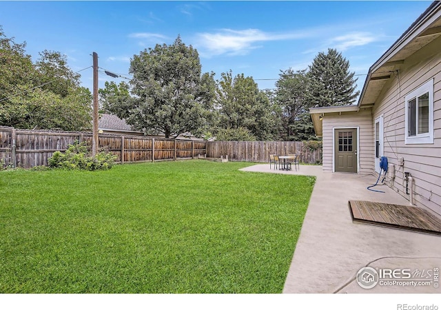 view of yard featuring a patio area