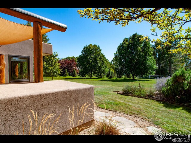 view of yard with a patio