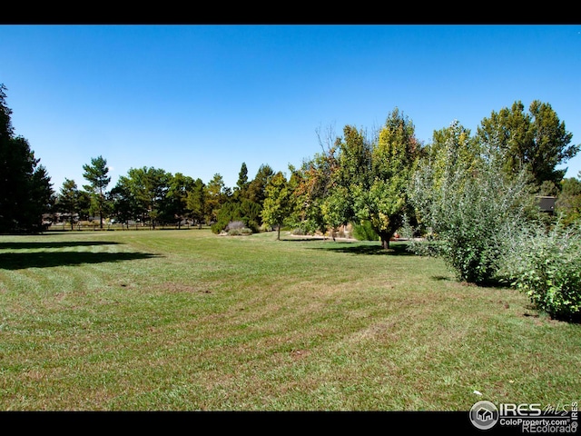 view of yard