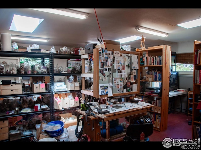 storage area with a skylight