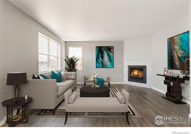 living room with wood-type flooring