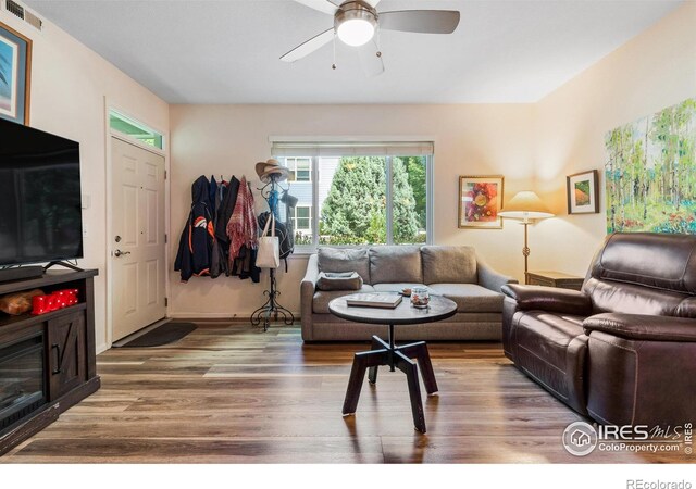 living room featuring ceiling fan and wood-type flooring