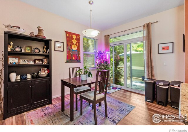 dining space with light hardwood / wood-style floors