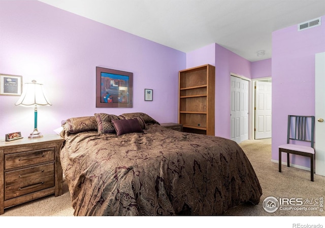 carpeted bedroom with a closet