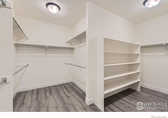 walk in closet featuring wood-type flooring