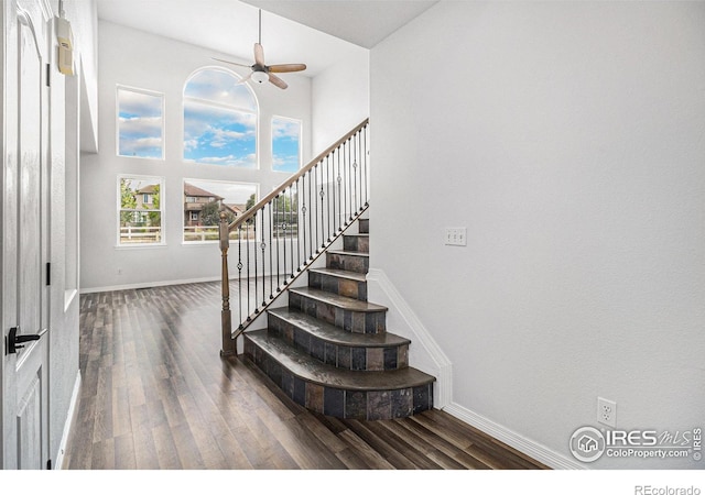 stairs featuring ceiling fan and hardwood / wood-style floors