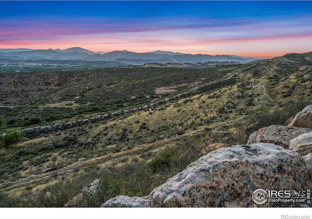 1701 Fire Rock Ct, Loveland, CO 80538