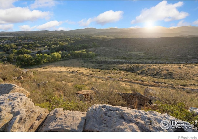 1701 Fire Rock Ct, Loveland, CO 80538
