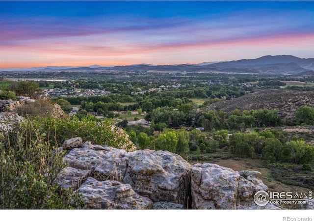 1701 Fire Rock Ct, Loveland, CO 80538