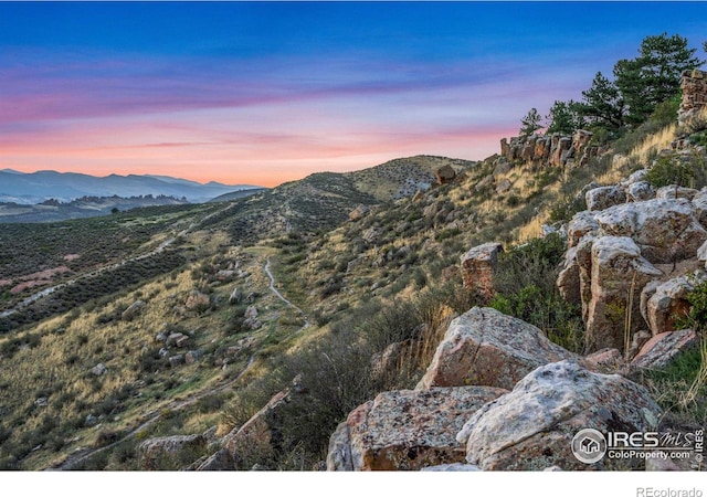 1701 Fire Rock Ct, Loveland, CO 80538