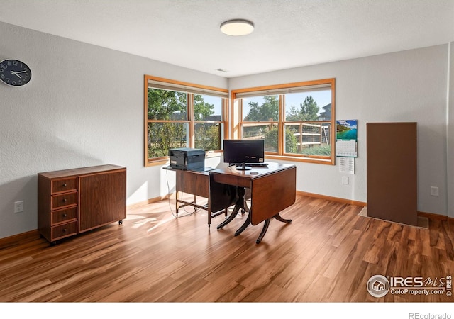 home office featuring hardwood / wood-style flooring