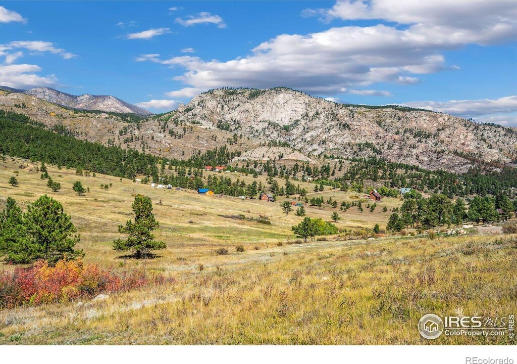 491 Snow Top Dr, Drake, CO 80515