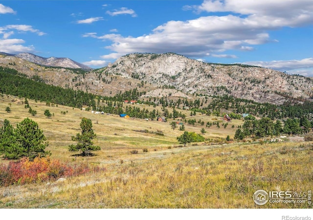 491 Snow Top Dr, Drake, CO 80515
