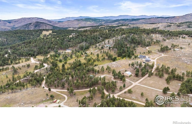 birds eye view of property featuring a mountain view