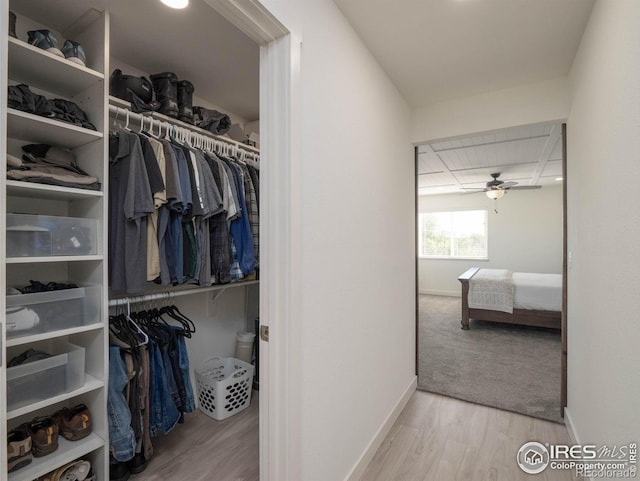 spacious closet with ceiling fan and light wood-type flooring