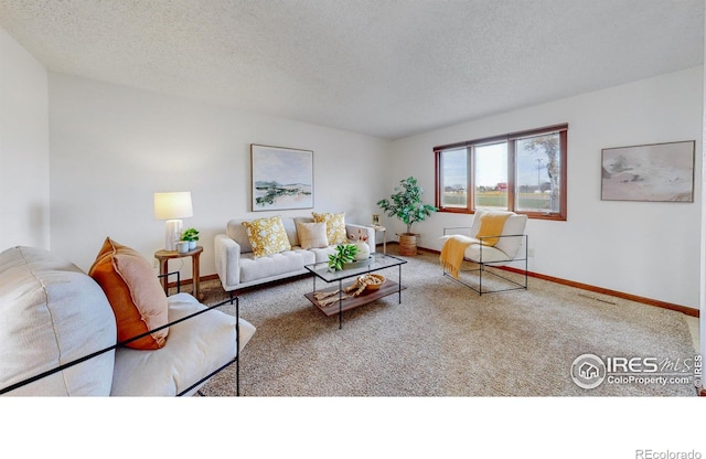 living room with carpet flooring and a textured ceiling