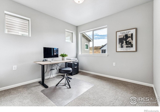 office space with baseboards and carpet flooring