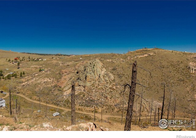 45 Bull Rock Ct, Livermore, CO 80536 - photo 8