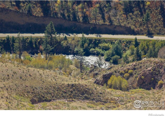 45 Bull Rock Ct, Livermore, CO 80536 - photo 24