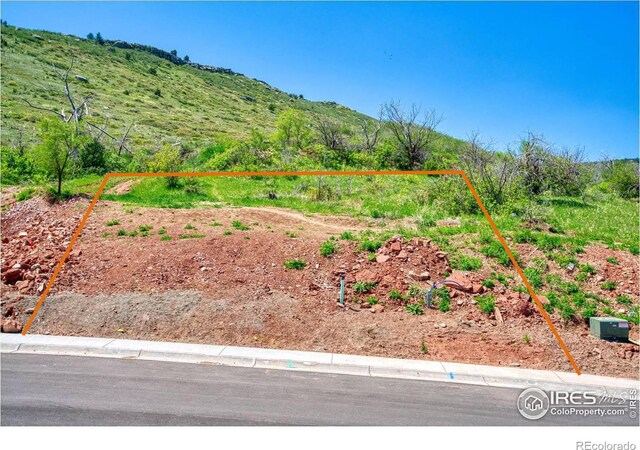430 Carter Dr, Lyons, CO 80540 - photo 4
