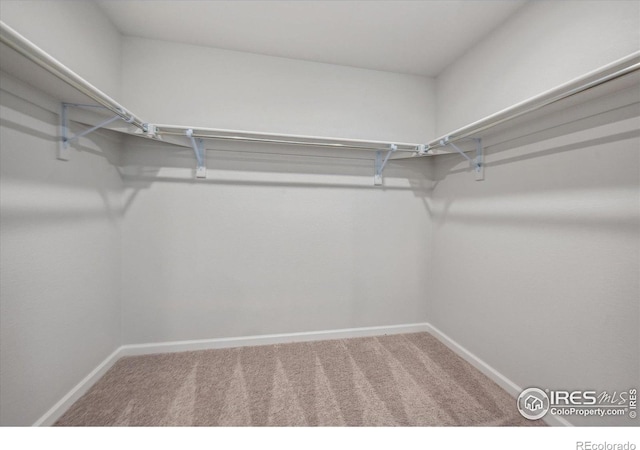 spacious closet with carpet floors