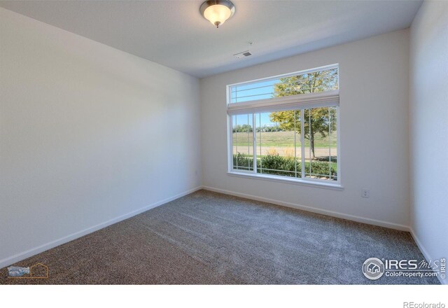 view of carpeted spare room