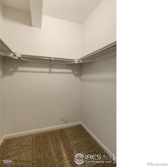 spacious closet featuring carpet flooring