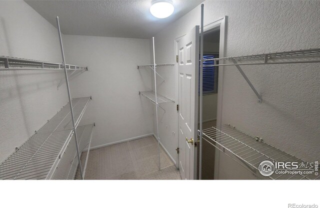 spacious closet with light colored carpet