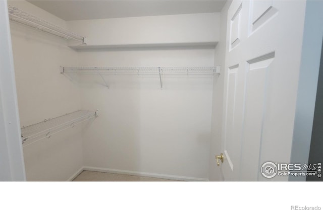 view of spacious closet