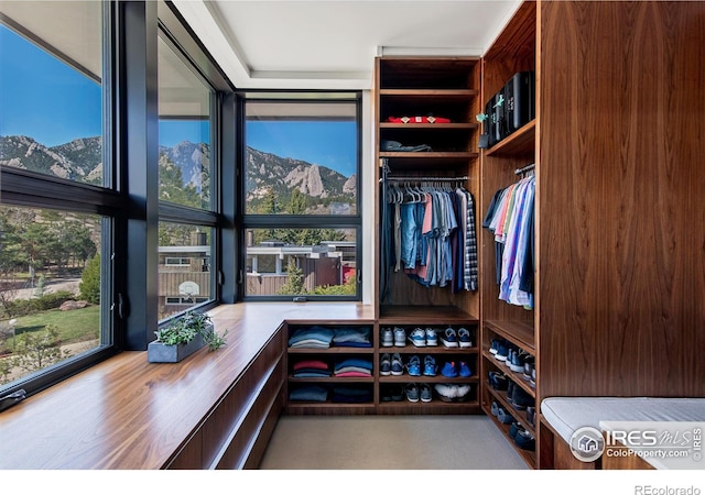 view of walk in closet