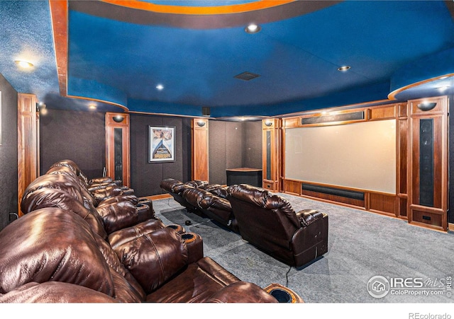 home theater room with carpet floors