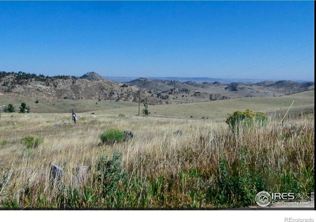 59 Bobcat Mountain Ct, Livermore, CO 80536