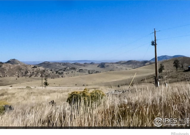 59 Bobcat Mountain Ct, Livermore, CO 80536