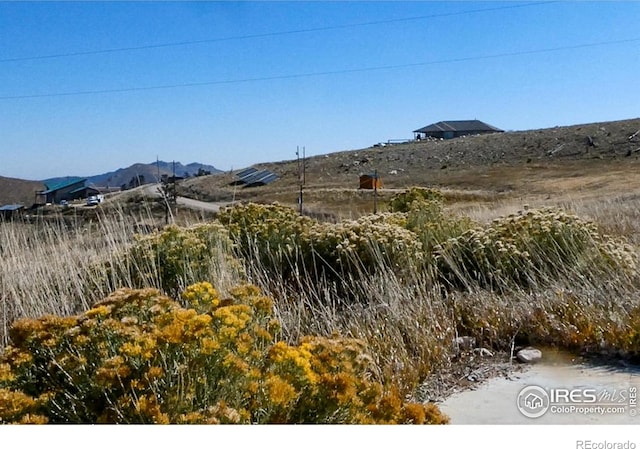 59 Bobcat Mountain Ct, Livermore, CO 80536