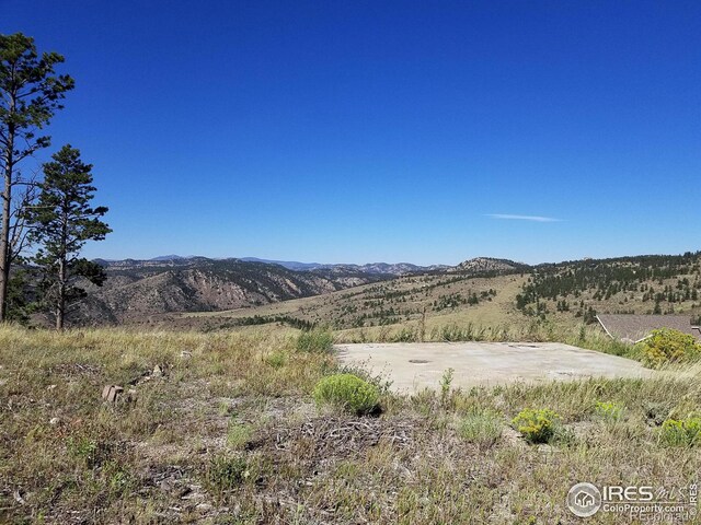 59 Bobcat Mountain Ct, Livermore, CO 80536