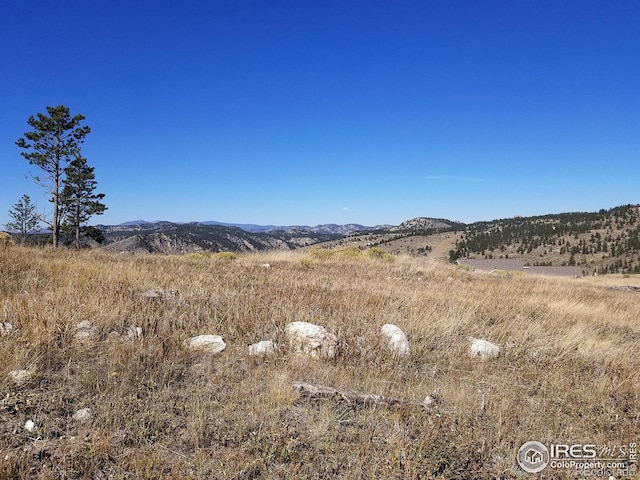 59 Bobcat Mountain Ct, Livermore, CO 80536