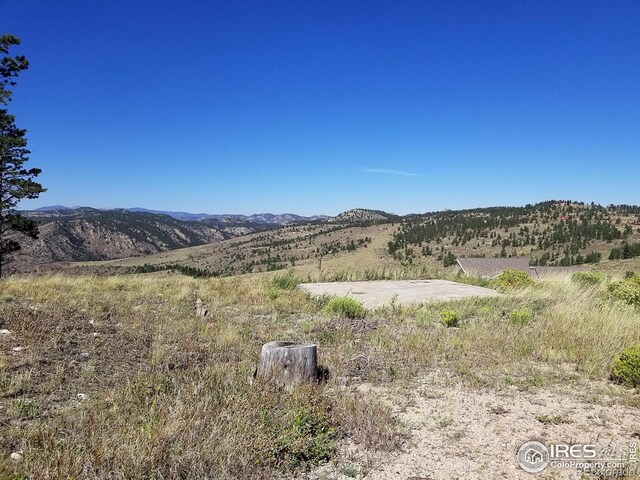 59 Bobcat Mountain Ct, Livermore, CO 80536