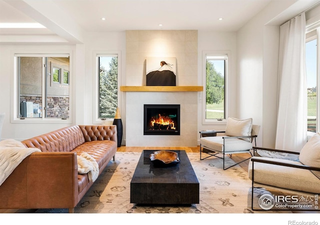 living room featuring a fireplace, light hardwood / wood-style floors, and a healthy amount of sunlight