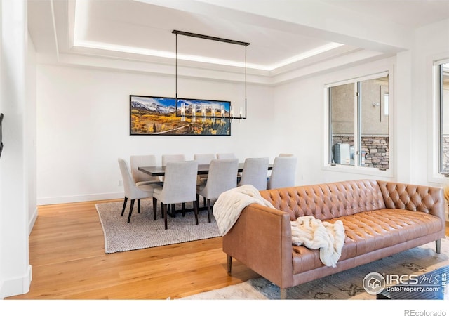 living room with wood-type flooring and a tray ceiling