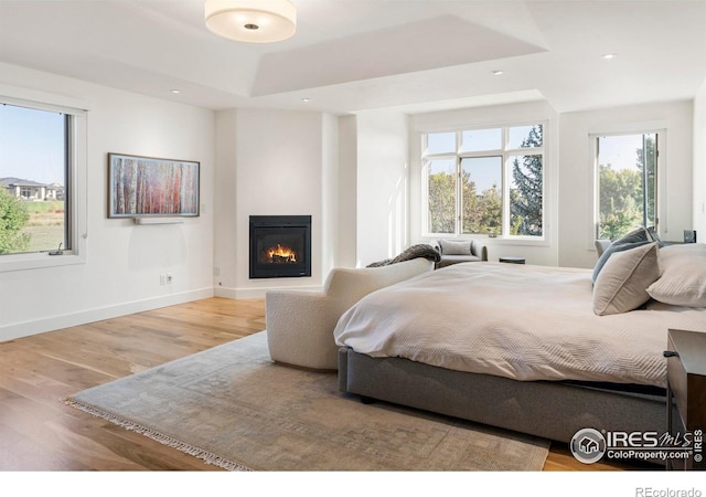 bedroom with a raised ceiling and light hardwood / wood-style flooring